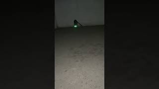 Glowing Cat Eyes Creepy Cat Eyes At Night