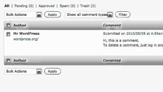 Wordpress Tutorial For Beginners Part 8 - Comments