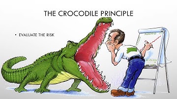Risk Management 🐊⛔️⚠️& Hierarchy of Hazard Control🧤🪜