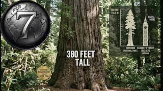 7 BIGGEST Trees in the World