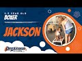2.5 Year Old Boxer, Jackson! Boxer Dog Training | Off Leash Boxer Training 2.5 Year Old Boxer, Jackson! Boxer Dog Training | Off Leash Boxer Training