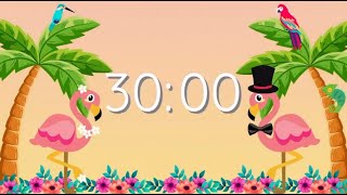 30 Minute Countdown Timer | Flamingo | Silent