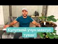 КУЛУПНАЙ УЧУН МАХСУС КОПЧАЛАР. 2020 ! кулупнай учун тувак