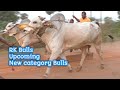 Rk bulls upcoming new category bulls beta