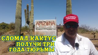 видео: Экстремальная работа в Аризоне картинка: Экстремальная работа в Аризоне