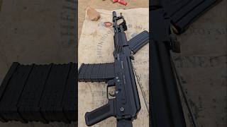 308 Bore Sega Quality Review