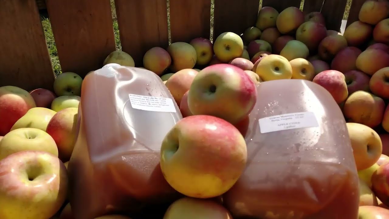 Graves Mountain Apple Harvest Festivals - Syria VA, in the Blue Ridge Mountains of VA - October