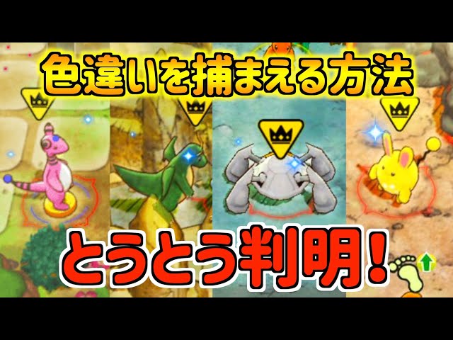 Pokémon Mystery Dungeon DX - Shiny] Finally, how to obtain shiny