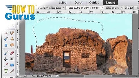 How to Use Lasso Tool Selections in Adobe Photoshop Elements 15 14 13 12 11 Tutorial