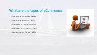 Information Technology eCommerce Systems