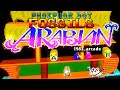 Phosphor Dot Fossils: Arabian (arcade, 1983)