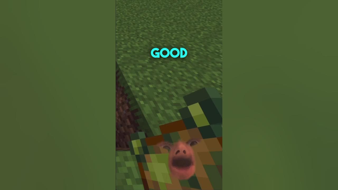 When you throws items into the void on Minecraft. minecraft 