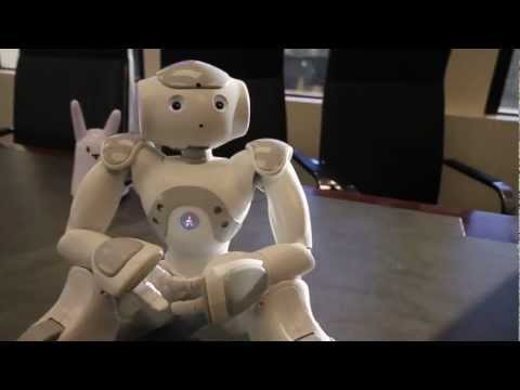 Nao Robot face tracker C# code - A robot app