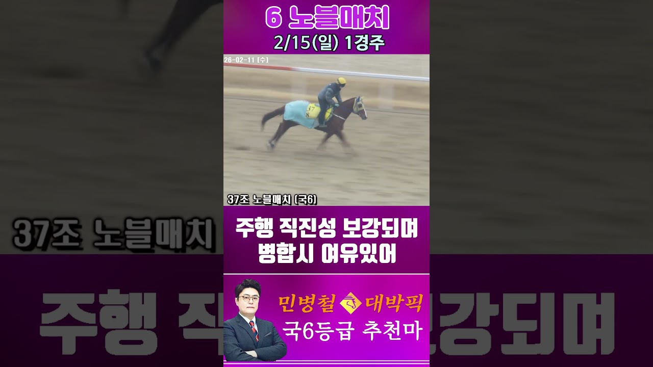 [서울 경마] 민병철 대박픽 2026년 2월 15일 일요 1R 추천마2 #경마 #horse #한국마사회 #automobile #하이라이트 #riding #korean #뉴스 #게임