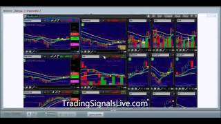 Binary Options Trading Signals Live, Day 8 -Huge profits in less than 15 minutes! Live Forex trades