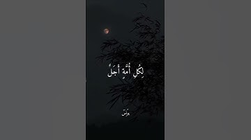قُل لَّا أَمْلِكُ لِنَفْسِي نَفْعًا وَلَا ضَرًّا إِلَّا مَا شَاءَ اللَّهُ - القارئ إسلام صبحي