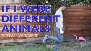 If I Were Different Animals