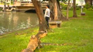 泰國永年20110406 7
