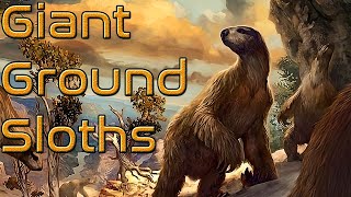 The History of Ground Sloths