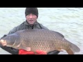 Ref:avfobs6es2Q Jonchery lake stocks 50lb carp, 2014 - fishing holidays