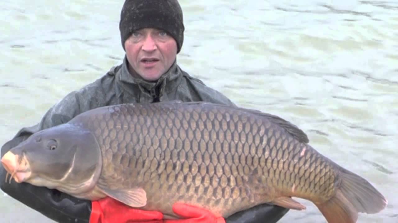 Jonchery Lake Stocks 50lb Carp, 2014 - Fishing Holidays