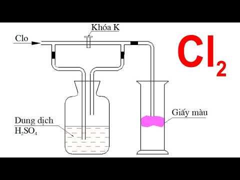 Khí Clo Màu Gì - giải thích thí nghiệm tính tẩy màu của khí clo ẩm