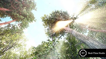 Unreal Engine 4. Exterior Environment. Forest