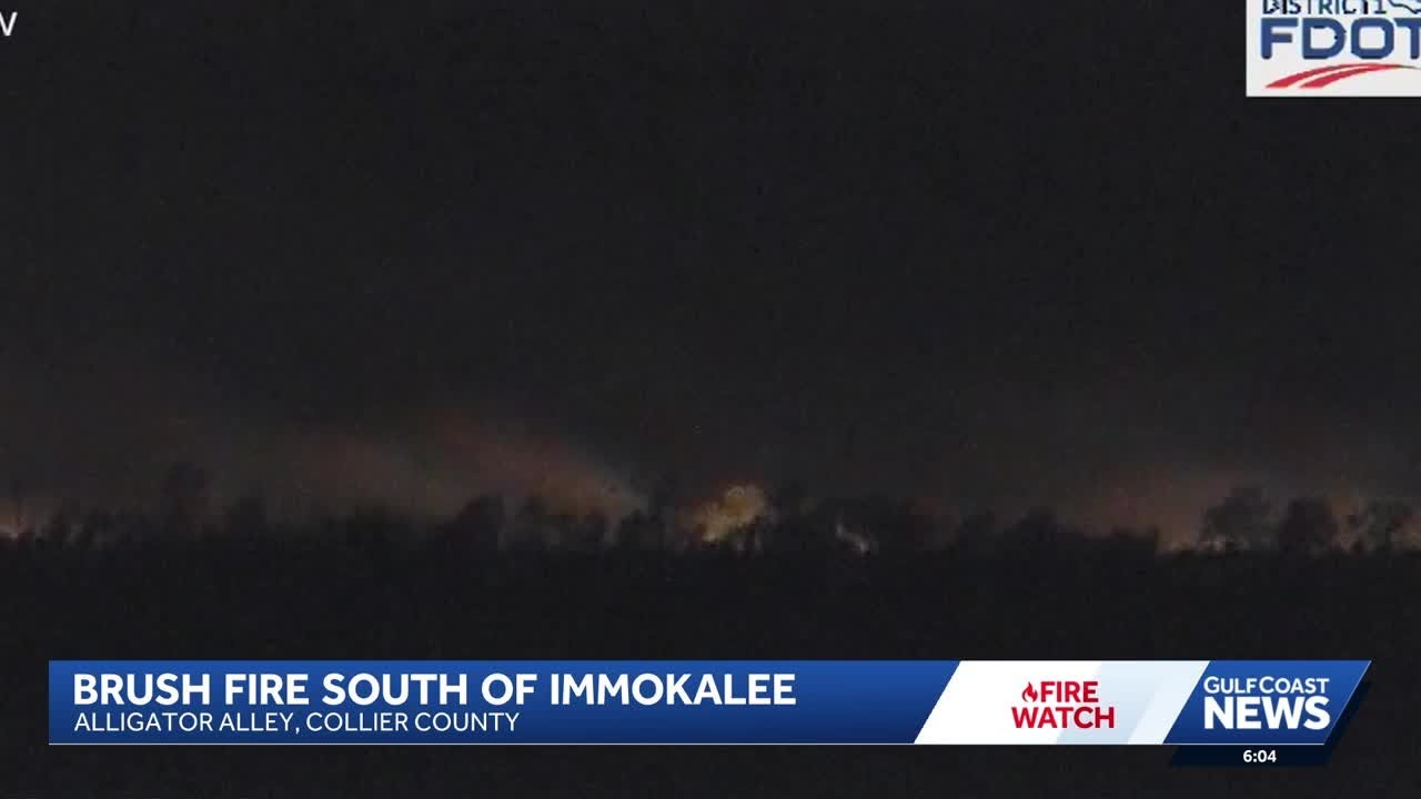 Brush fire breaks out near Alligator Alley in Collier County - YouTube