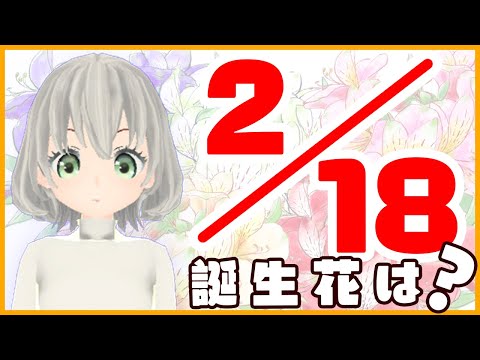 【花言葉】２月１８日の誕生花は？／花白もか