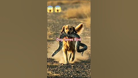 Dog Saves Bird From Snake 😱😱 | Ai video 2025 #shortfeed #ai #viral #shorts