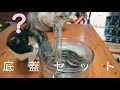 商品レビューペット自動給水器WF050【汚部屋とおっさんと猫と日常65】