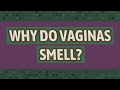 Why do vaginas smell?