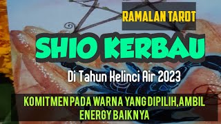 SHIO kerbau di tahun Kelinci Air 2023, Ambil Energi baiknya, Komitmen pada Warna yang dipilih