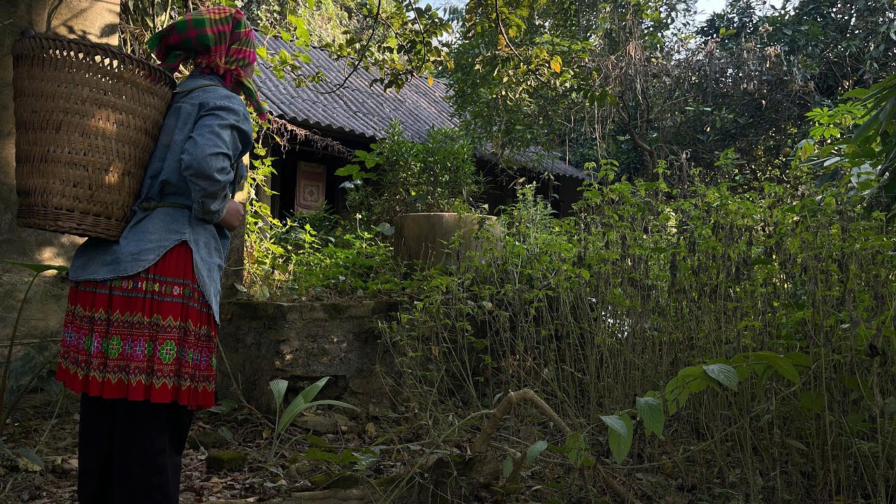 Полный путь бездетной женщины в заброшенном доме — от разрушения к возрождению