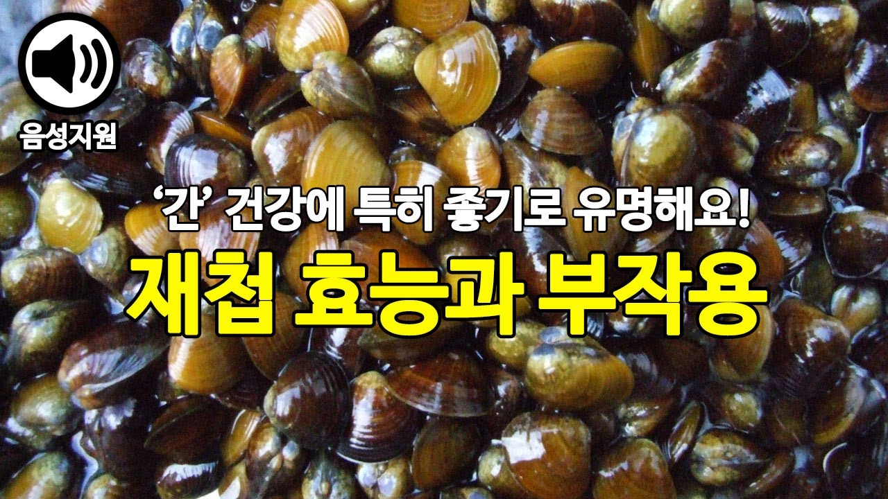 섬진강의 선물, 재첩 효능과 부작용