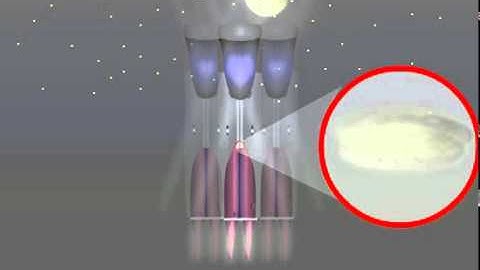 3. Scotopic ommatidium