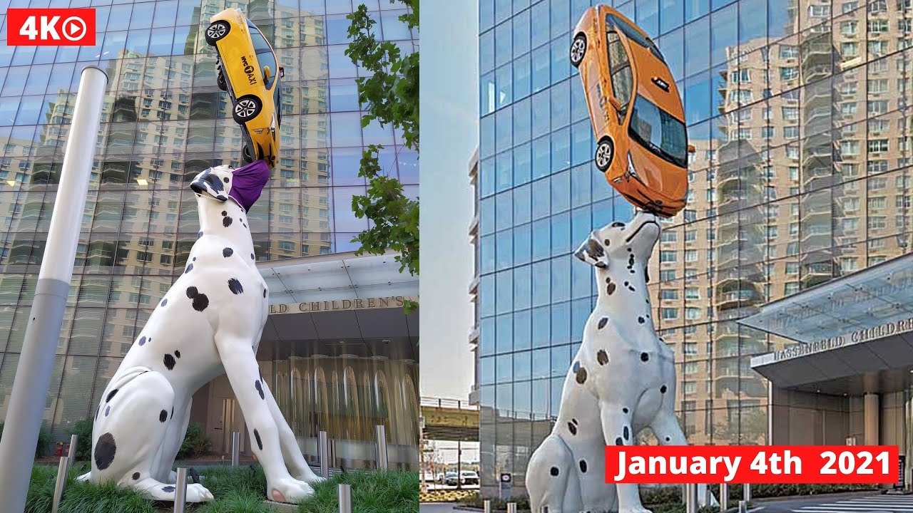 Walking in Manhattan. Closer Look at The Giant Dog Sculpture Balancing