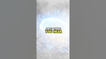 Decoding Decisions: Cognitive Biases