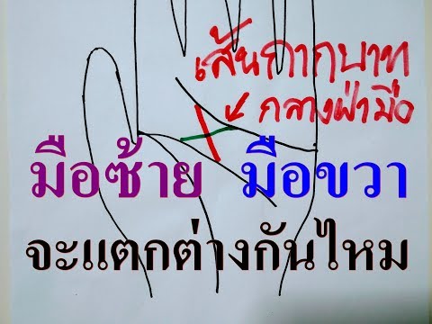 ลายมือเส้นกากบาทกลางฝ่ามือ มือซ้ายมือขวา หรือทั้ง2ข้าง จะแตกต่างกันไหม