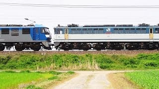 EF210-138＋ムドEF65-2139　5085レ　2014.04.16　琵琶湖線