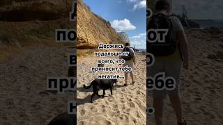 Ты вправе выбирать что для тебя лучше #психология #личность #motivation #life
