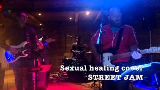 Video thumbnail of "Marvin Gaye - Sexual Healing cover by Street Jam"