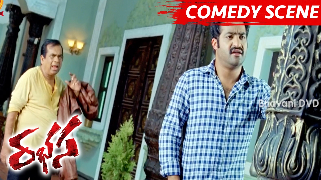 Rabhasa Movie Scenes || Jr NTR And Brahmanandam Comedy Scene