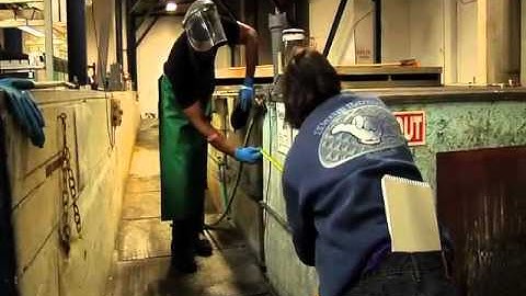 Mechanical Engineering - UW Engineers Making a Difference