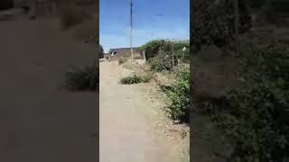 Yetiş Bacim Dernegi Afrikada
