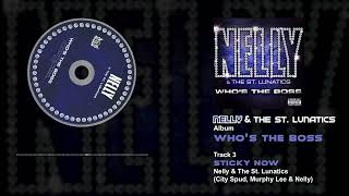 Watch Nelly Sticky Now video