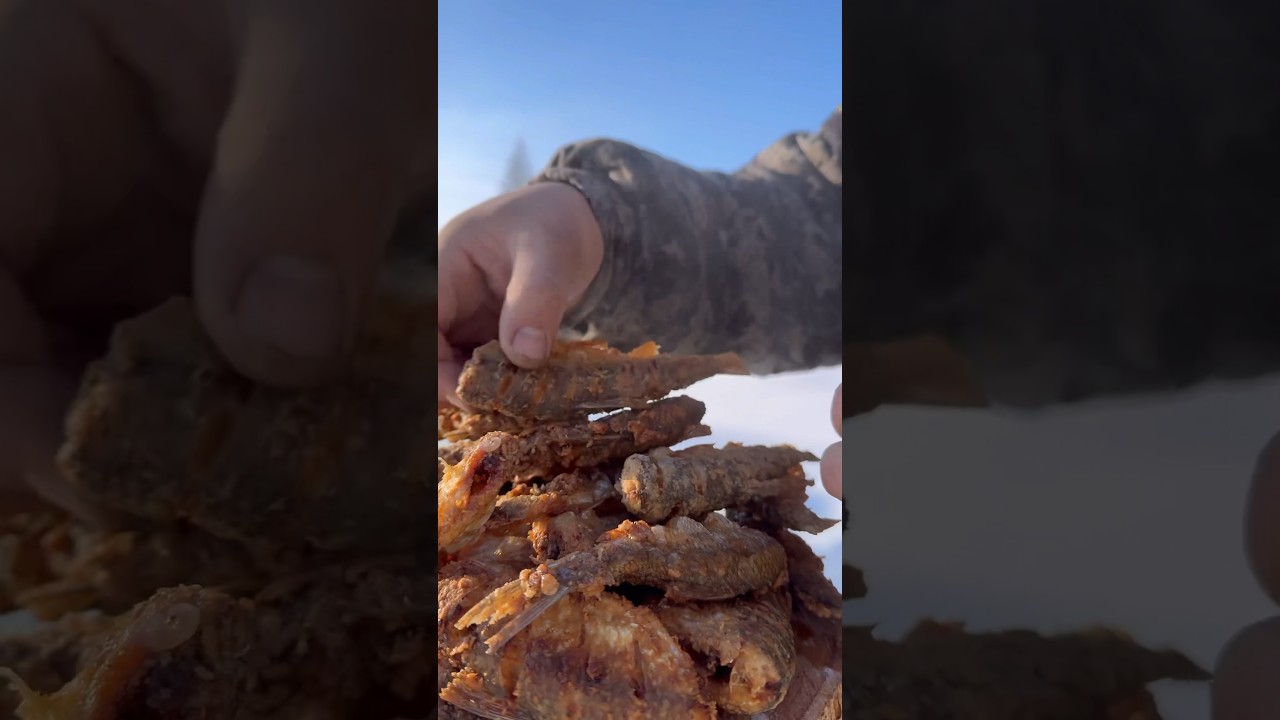 Fried dace🎣😋 / Жареный елец🎣😋 Pandasakha Yakutia❄️ 