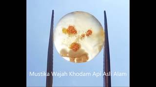 Mustika Wajah Khodam Api Asli Alam