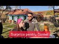 CADOUL PENTRU CORNEL SI SURPRIZE PENTRU NOI LA CASUTA DIN PADURE ⚡ Ionut Ghita