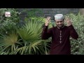 KARAM SARKAR NE KITA MUHAMMAD MUKHTAR QADRI OFFICIAL HD VIDEO HI TECH ISLAMIC BEAUTIFUL NAAT